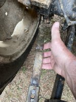 IMG_3643.jpeg