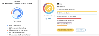 Mica DNA tests.png