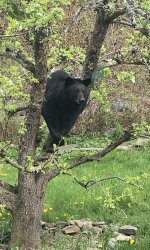 IMG_4098.jpeg
