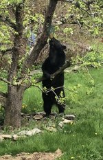 IMG_4097.jpeg