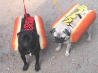 322280-hotdogs.jpg