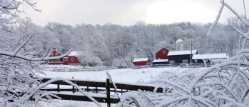 33-228840-shadowchasefarm02.jpg