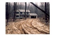 6-123442-fallentree.jpg