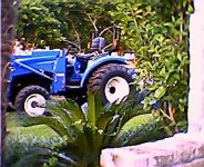 12-179568-TC33Dthroughthebushes.JPG