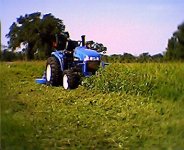 5-180065-TC33DFirstdayatwork2.JPG