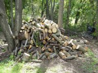 324228-firewood2.jpg