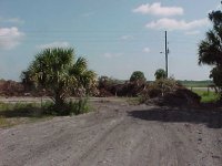 276122-brush1.jpg