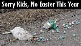 6-126137-noeaster.jpg
