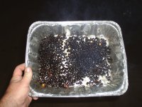 coffee 006.jpg