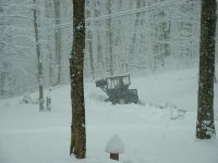 PTsnow6.JPG