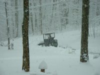PTsnow5.JPG