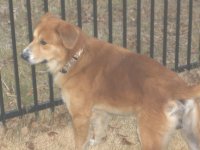 Buddy3.jpg