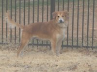Buddy4.jpg
