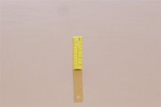 Yardstick, 15 Jan 2007.jpg