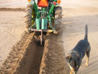 cutting footing.jpg