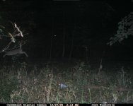CDY_0089.JPG