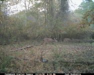 CDY_0201.JPG