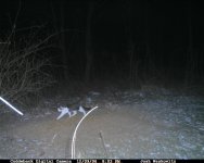 CDY_0053.JPG