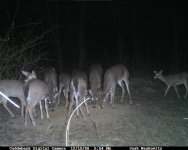 CDY_0080.JPG
