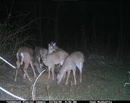 CDY_0338.JPG