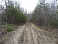 IMG_0413.JPG