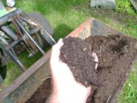 compost.jpg