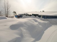IMG_1295.JPG