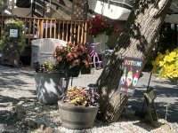 IMG_1819 - Copy.JPG