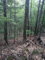 20230525_191854.jpg