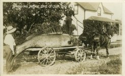 fish-wagon.jpg