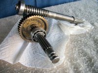 BCS wormgear.jpg