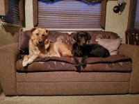 IMG_2424.jpeg
