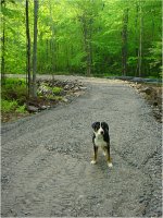 Road#2_5-28-07_P.JPG