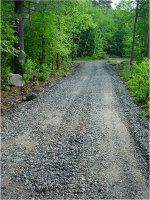 Road#11_5-28-07_P.JPG