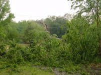 OAKdownMay07.jpg