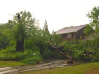 OAKdownMay07-02.jpg