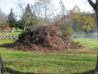 IMG_burn pile.JPG