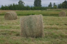 48-inch wonkey bale.jpg