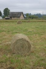 30-inch bale 2.jpg