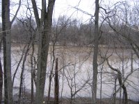 Field & Creek.JPG