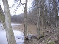 Upstream.JPG