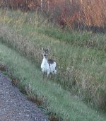 image003.jpg