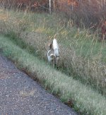 image005.jpg