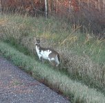 image006.jpg