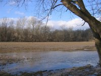 Upstream next day.JPG