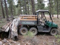 RangerLog2-6.jpg