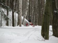 Blowing Driveway.jpg