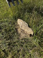 IMG_2326.jpeg