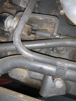 IMG_3566 2.jpeg