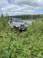 IMG_2561.jpeg